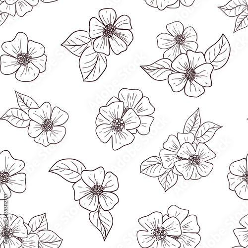 Cute sketch or doodle style vector seamless pattern with cosmea or cosmos flowers on isolated background. © Bubble beanie