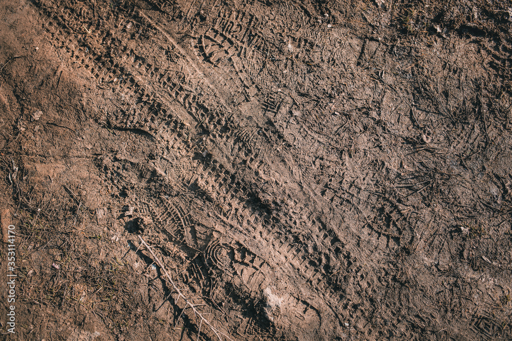 Shoe prints and tire prints in muddy surface. Shoe prints and tire prints in muddy surface.