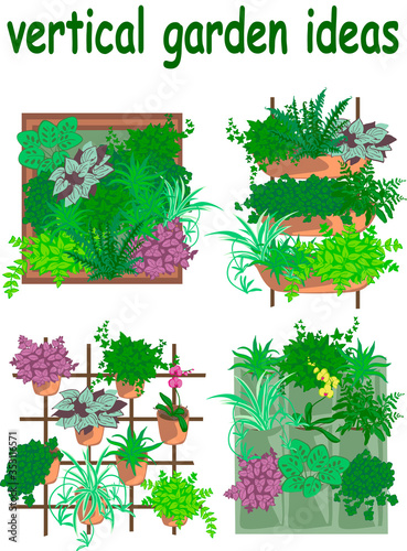 Concept for vertical garden - how to creat your green wall - wooden box, planter bag, pots and casters