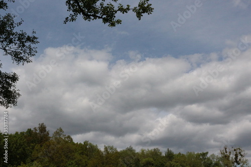 
White clouds floating over the forest in the blue sky