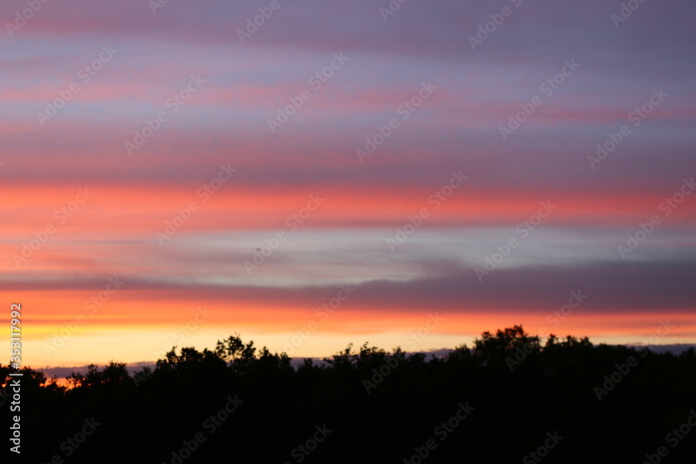 Beautiful sunset above the treetops Beautiful sunset above the treetops