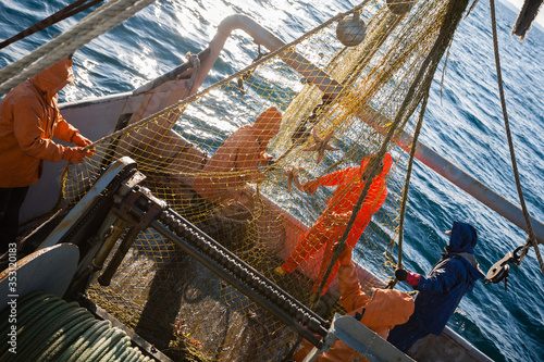 Fishermen choose a trawl with fish