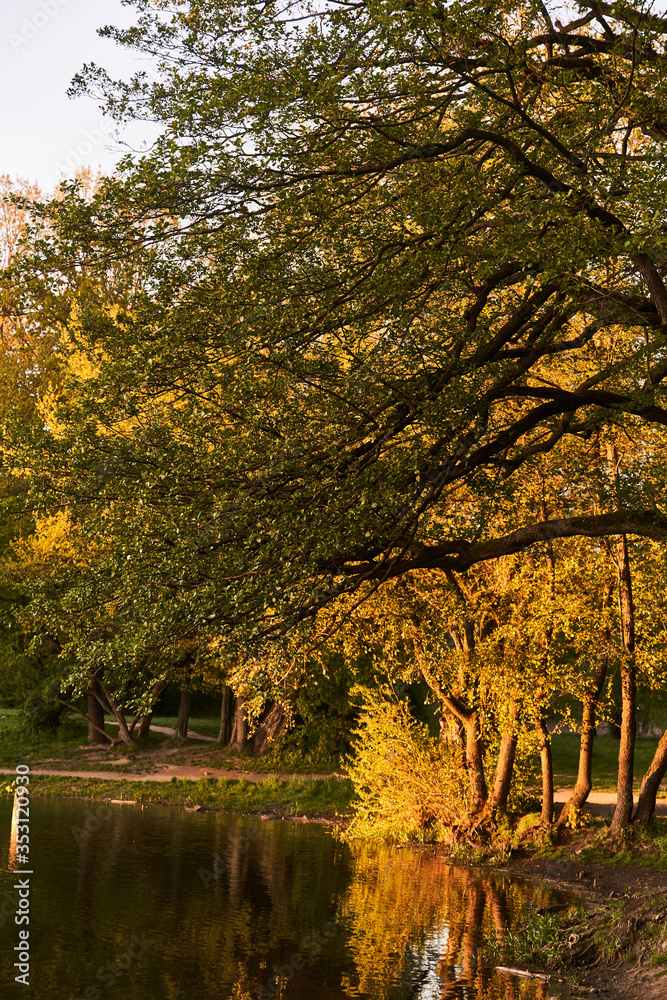 Pond in the park. Golden sunset sun. Autumn, Spring park Pond in the park. Golden sunset sun. Autumn, Spring park