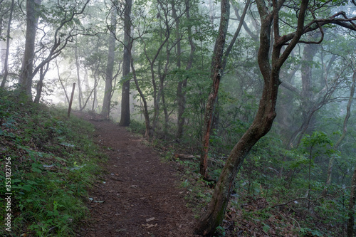 Sunrise shining through the morning mist on a hiking trail in Asheville, North Carolina © ejkrouse