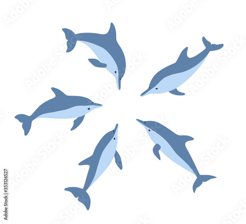 Five dolphins in a circle look at one place. Isolated vector illustration in cartoon and flat style on white background