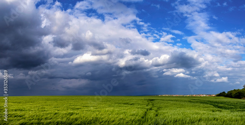 Green Wheat Or Barley Field With Storming Sky