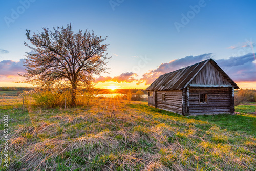 Old wooden hut and lonely tree at sunset in countryside at spring photo