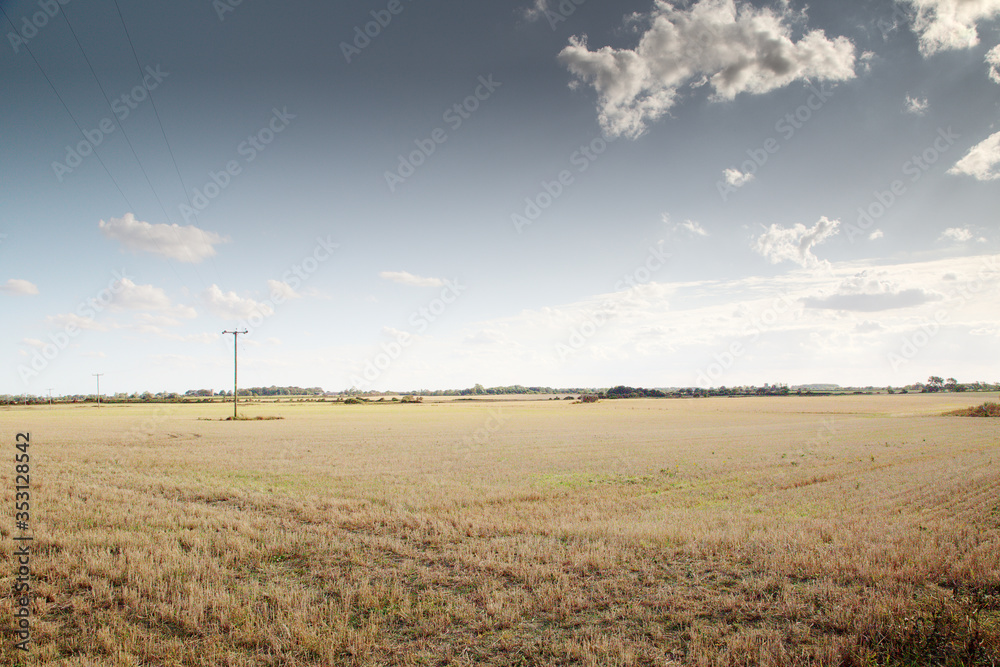empty field in norfolk
