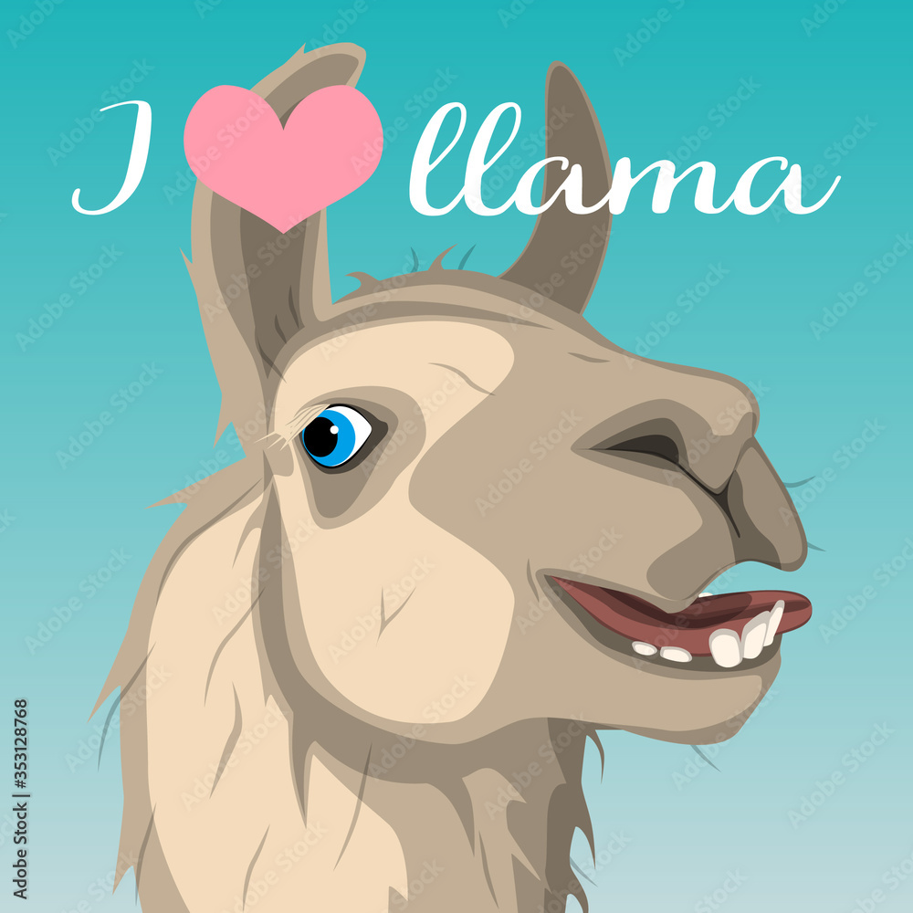 Vector image of a llama.I love llama. Vector image of a llama.I love llama.