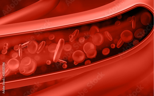 Red blood cells in vein. Vector illustration