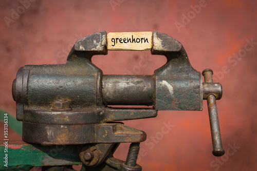 фотографія Vice grip tool squeezing a plank with the word greenhorn
