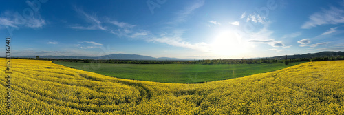 Rapeseed Field Late Afternoon Panorama