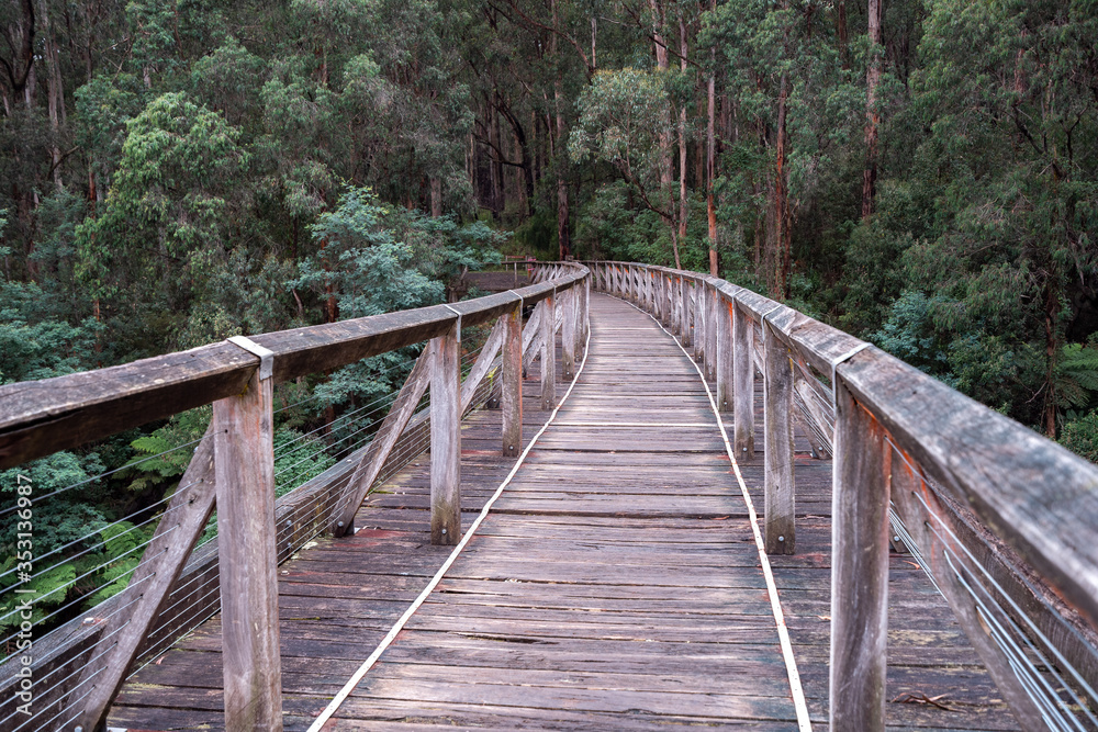 Historical Noojee Trestle Bridge - a legacy of the old railway originally built in 1919
