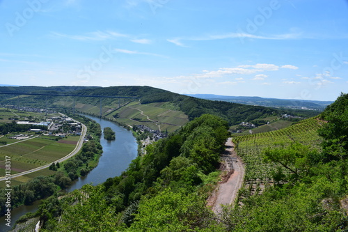 Mosel mit Insel photo