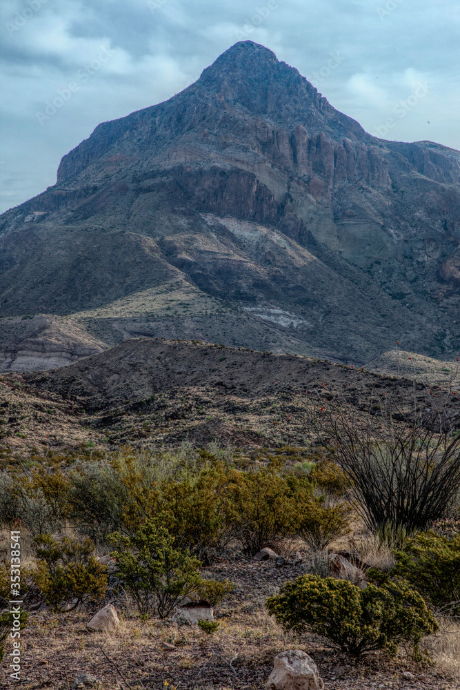 Desert Mountains from Big Bend National Park