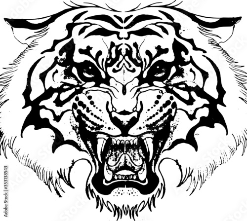 Hand drawn wild animal. Tiger. Vector isolated on a transparent background