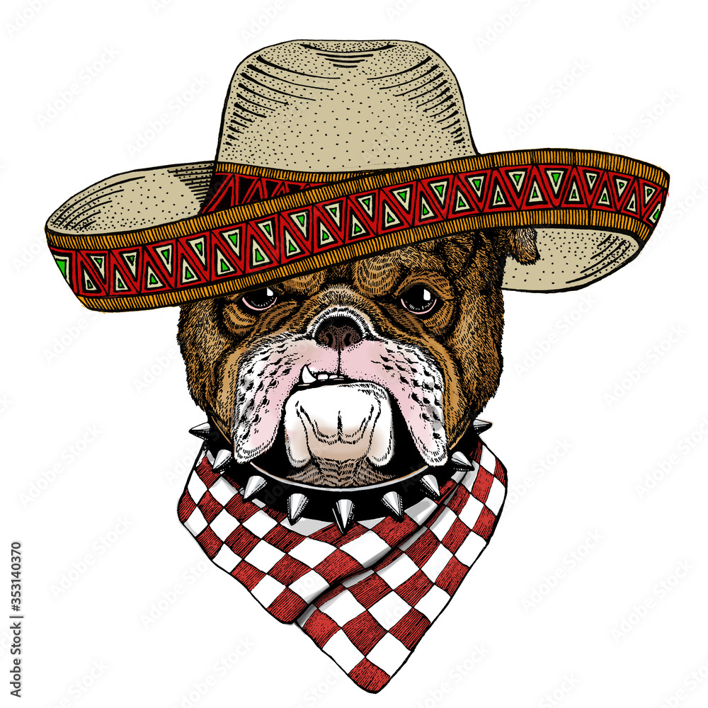 Φωτογραφία Bulldog, dog. Sombrero mexican hat. Portrait of cute animal.