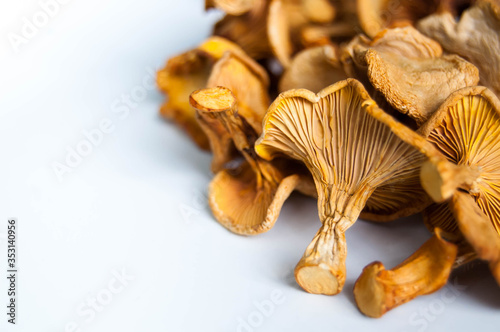 Dried chanterelle mushrooms close-up on a white background with place for text.Dried chanterelles bright yellow-orange color.Harvesting dried mushrooms.Photo for chanterelle recipes.Forest mushrooms.