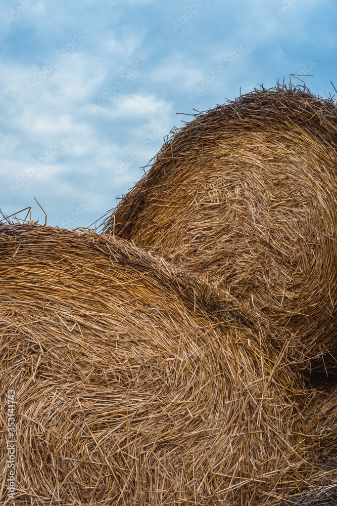 Hay close-up. Haystacks on the background of blue sky. Hay close-up. Haystacks on the background of blue sky.
