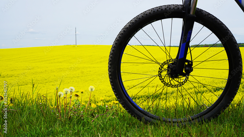 Black bicycle wheel against a background of bright yellow blooming rapeseed field Black bicycle wheel against a background of bright yellow blooming rapeseed field