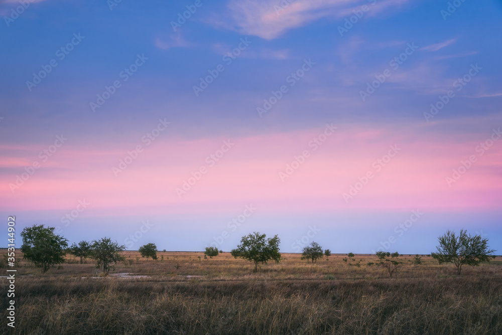 Prairies of Carpentaria, Queensland
