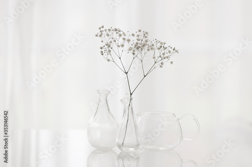 Interior decoration, flower in vase on white background, minimalism