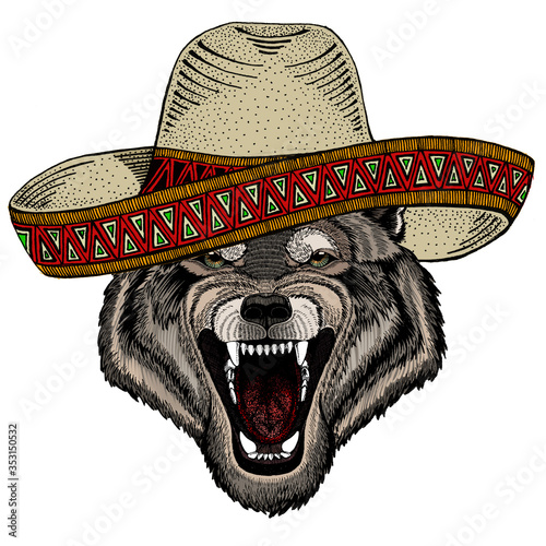 Wolf portrait. Sombrero mexican hat. Head of wild animal.