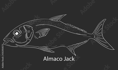 Amberjack doodle fishing logo. Almaco jack fish club emblem. Fishing theme illustration. Isolated on black and white.