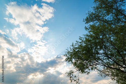 Chmury  drzewo oraz b    kitne niebo