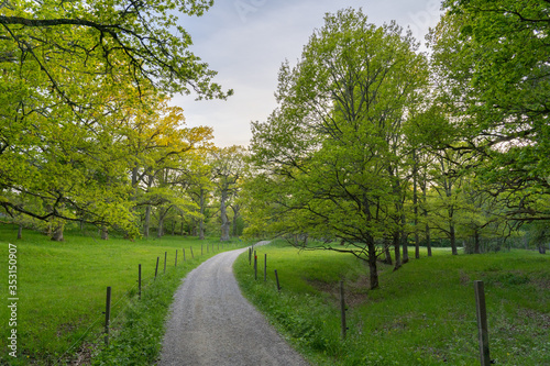 Grevens stig på Ängsö