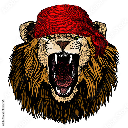 Lion. Wild animal portrait. Face of african cat. Bandana. Pirate. Motorcycle.