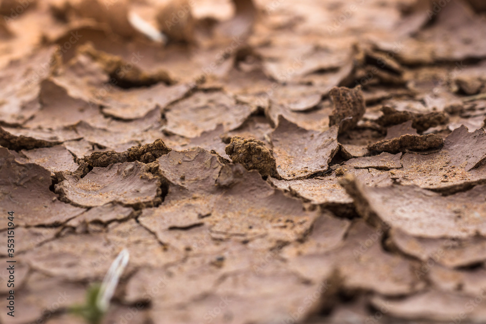 Nature background of cracked dry lands. Natural texture of soil with cracks. Broken clay surface of barren dryland wasteland close-up. 