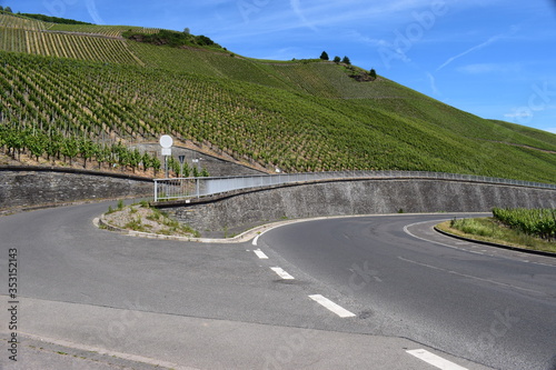 Steillagen an der Mosel bei Lösnich photo