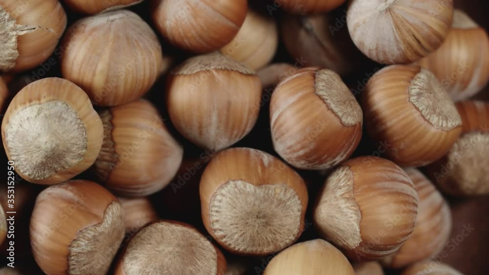 Hazelnut closeup in wooden bowl Hazelnut closeup in wooden bowl