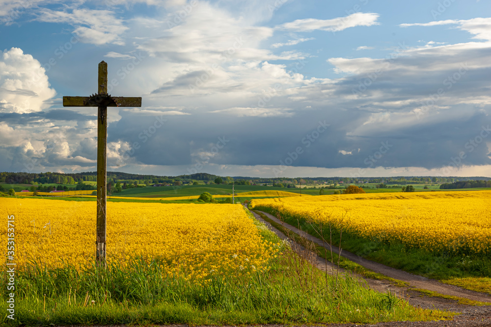 Naklejka premium Rzepak - żółte kwiaty rzepaku, przydrożny krzyż - krajobraz rolniczy, Polska, Warmia i mazury