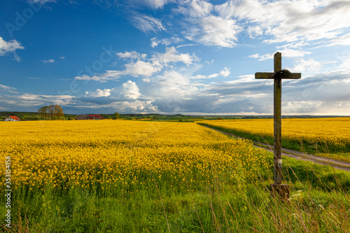 Rzepak - żółte kwiaty rzepaku, przydrożny krzyż - krajobraz rolniczy, Polska, Warmia i mazury