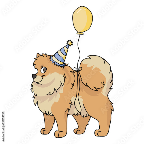 Cute cartoon pomeranian with party hat vector clipart. Pedigree kennel doggie breed for dog lovers. Purebred domestic dog for celebration illustration mascot. Isolated canine fluffy spitz hound. 