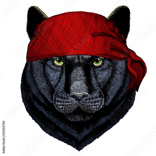 Black panther, puma. Head of animal. Wild cat portrait. Bandana. Pirate. Motorcycle.