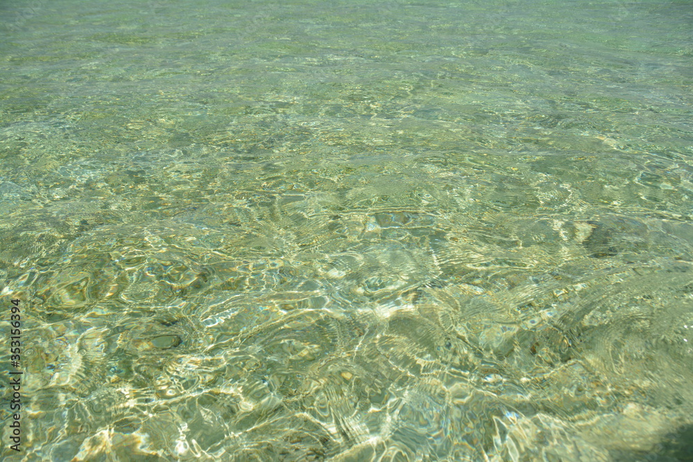 Obraz premium Transparent blue water in the ocean. Maldives.