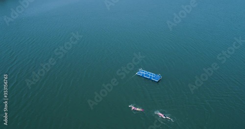 February 2019, Aerial of athletes or swimmers were swimming on Tuyen Lam lake photo