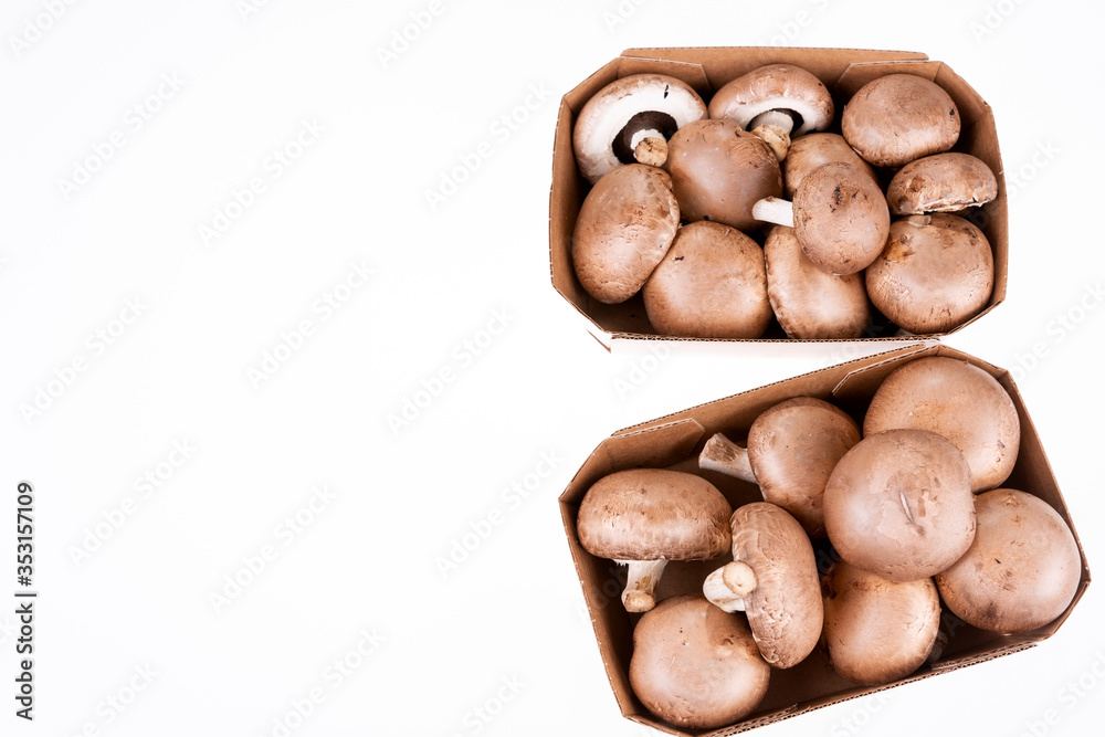 Fresh champignons in the cardboard container isolated on white