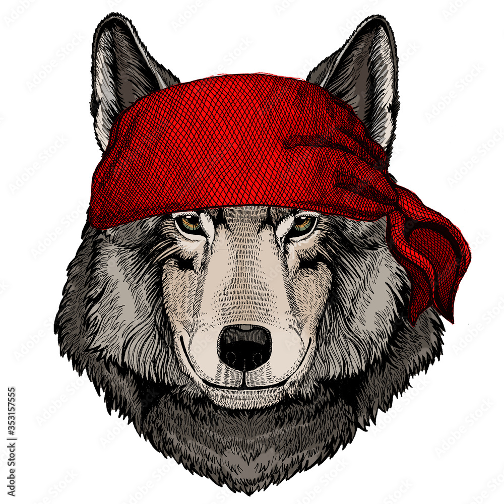 Wolf portrait. Head of wild animal. Bandana. Pirate. Motorcycle. Stock  Vector | Adobe Stock