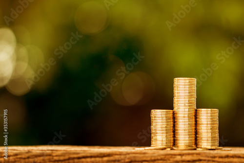 Stacking golds coin with grow up on the wooden in the public park for loans to planned investment in the future concept.