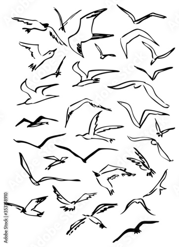 Set of hand drawn simple seagulls. Sketch, drawing, black lineart on white background