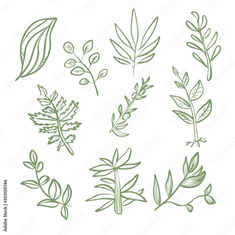 Set of green plant leaves linear contour