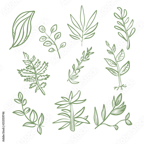 Set of green plant leaves linear contour