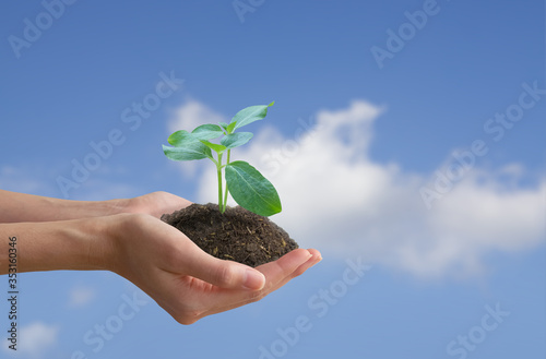 agriculture, agriculture field, background, blue sky, bright background, care, close up, concept, conservation, day, development, earth, earth day, ecology, ecology concept, environment, environment i