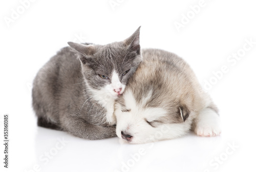 Kitten and puppy sleep huddled together. Isolated on a white background