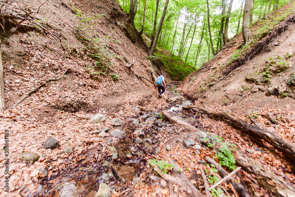 Man With Backpack Walking In Spring Forest, Adventure, Nature, Explore Man With Backpack Walking In Spring Forest, Adventure, Nature, Explore