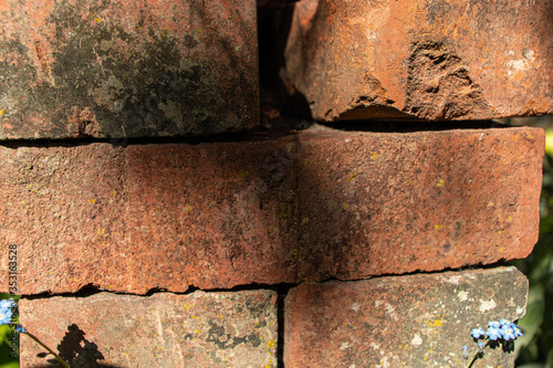 A brick background with blue flowers and shodows photo